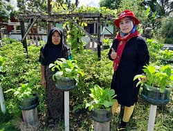 Donggala Bergerak: Dinas TPHP Dorong Pangan Bergizi untuk Cegah Stunting